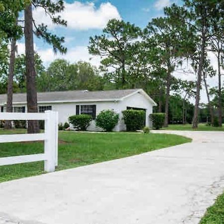 3Bdr2Bath Home In Lutz Close To Tampa, 20 Min To Stadium, Airport المظهر الخارجي الصورة
