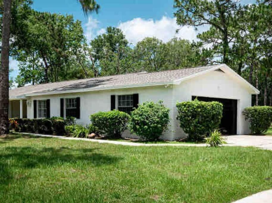3Bdr2Bath Home In Lutz Close To Tampa, 20 Min To Stadium, Airport المظهر الخارجي الصورة