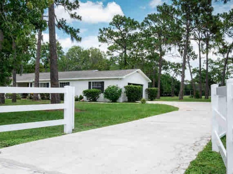 3Bdr2Bath Home In Lutz Close To Tampa, 20 Min To Stadium, Airport المظهر الخارجي الصورة